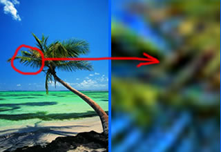 http://image2.beareyes.com.cn/2/lib/200210/09/299/digital_zoom.jpg